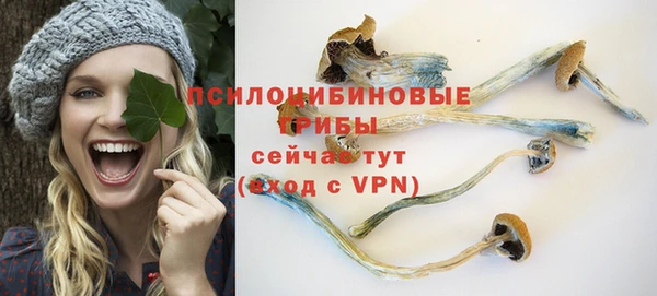 прущая мука Арсеньев