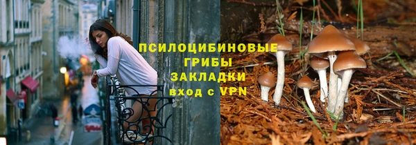 прущая мука Арсеньев