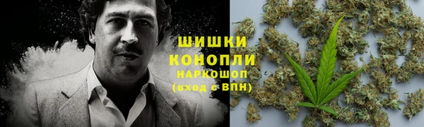 a pvp Аркадак